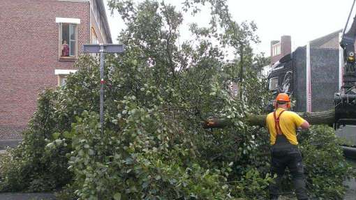 Bomen rooien Hoek